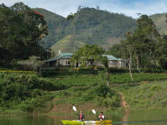 Resplendent Ceylon - Ceylon Tea Trails