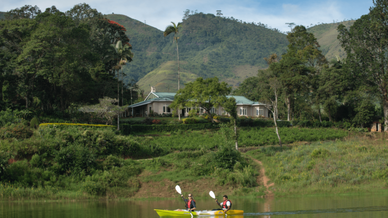 Resplendent Ceylon - Ceylon Tea Trails