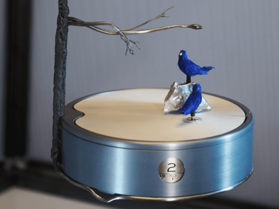 REUGE - Liberte Birdcage Music Box